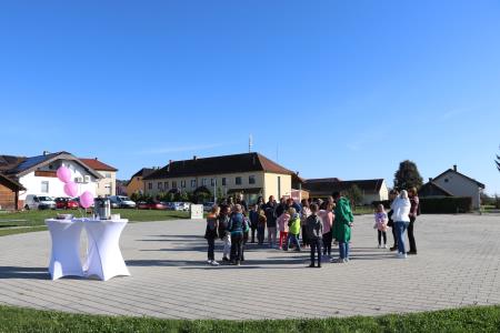 V Šalovcih zasadili rožnato drevo 1